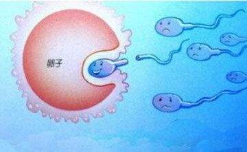 “小手拉大手”——共建陕西区域生殖健康！
